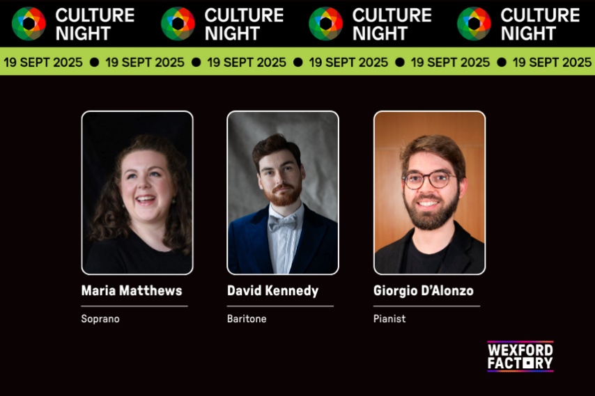 Culture Night
