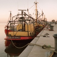 Wexford
